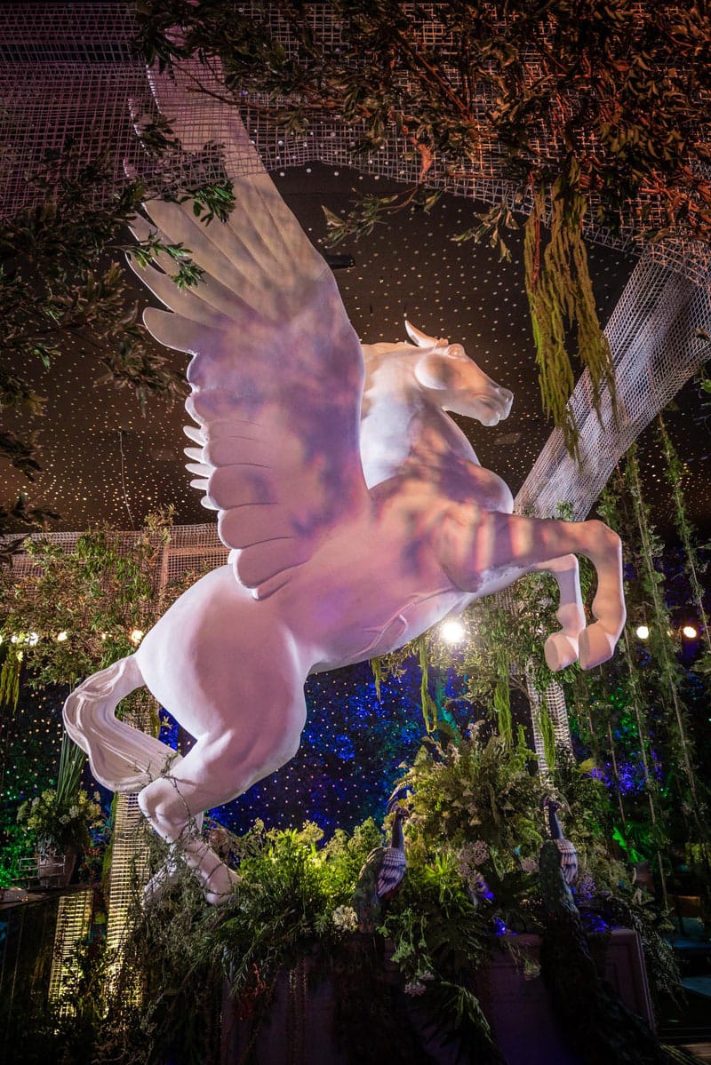 jahan and ananya's cocktail 3